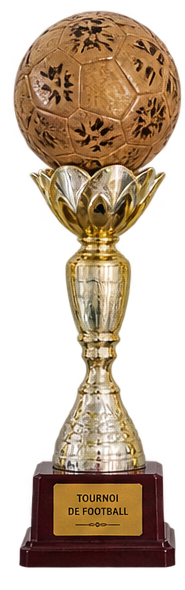 Championnat des jeunes FIF